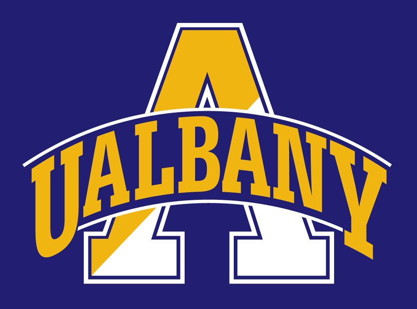 Albany Great Danes 2004-Pres Alternate Logo v3 iron on transfers for clothing
